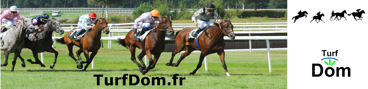 TurfDom.fr prono